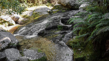 Walkway and the Beach at Anchorage Bay, Abel Tasman National Park, New Zealand