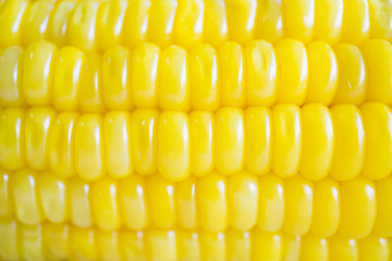 Close up of sweet corn texture.