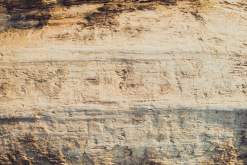 smooth wood texture - natural backgound