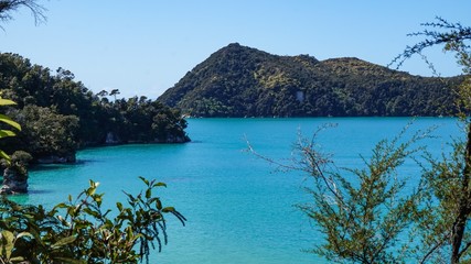Obraz premium Walkway and the Beach at Anchorage Bay, Abel Tasman National Park, New Zealand