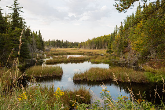 Grassy Lake near Ely Minnesota