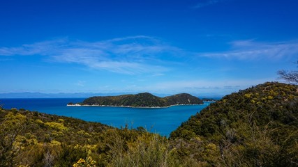 Fototapeta premium Walkway and the Beach at Anchorage Bay, Abel Tasman National Park, New Zealand