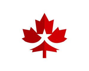 Star Canadian Maple leaf Logo, Maple Leaf Illustration Vector Design