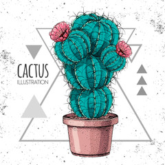 Hand drawing cactus vector illustration on grunge triangle background © annbozhko