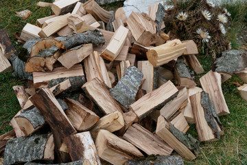 Chopped logs in the clearing behind the house. Countryside, remote places. Preparing for the winter. Harvesting logs.
