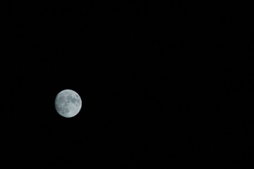 Obraz premium Moon