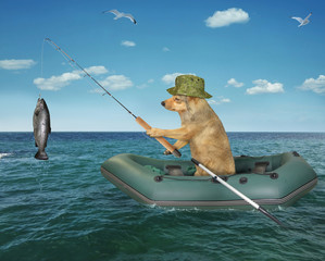 The beige dog fisherman with a fishing rod caught a fish from the inflatable boat in the high seas.