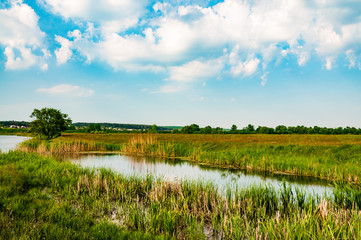 Beautiful calm landscape of the river