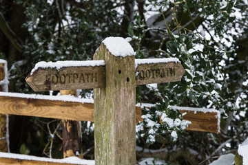 Signpost in the winter