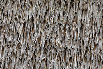 Dry grass roofing or wall background Tropical roof on the beach 