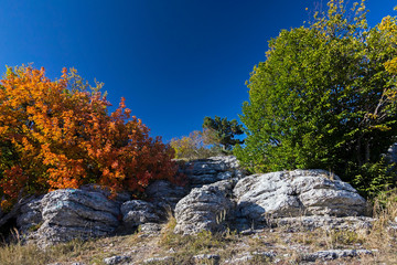  Autumn in the mountains, trees on the rocks.