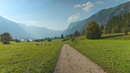 Country road to the Bohinj Lake. Green valley. Mountains landscape