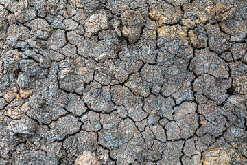 Arid cracked ground for use as a background.