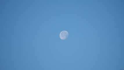 moon in the daytime sky