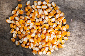 corn seed on wooden background,have Real light