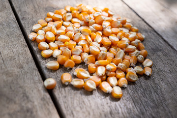 corn seed on wooden background,have Real light