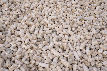 Dry corncob on a melted dry corncob,Corn pods that have been seeded.