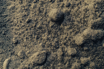 Close up beautiful gray mixture background texture. Macro view.
