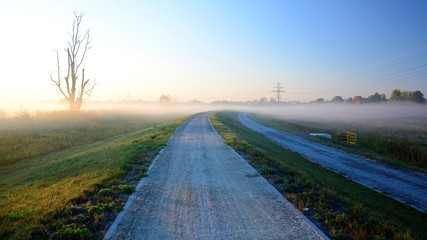 Like a Wonderland - Path through the Mist