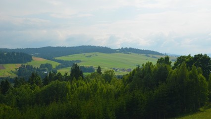 Polish Green Landscape