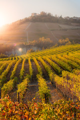 Langhe region, Piedmont, Italy. Autumn landscape with vineyards and rolling hills at sunset.