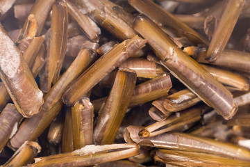 Raw razor clams in a fishing market