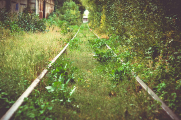 железная дорога, колея, рельсы, путь, ветка. 