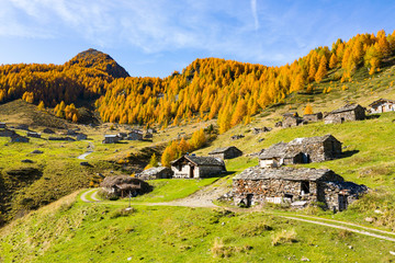 Valtellina (IT) - autumnal aerial view of the typical mountain huts at the Arcoglio alp - obrazy, fototapety, plakaty
