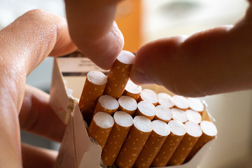 close up person's hand pick a cigarette from the carton pack box © Mihail