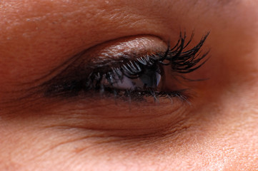Close up of natural female eye