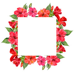 Watercolor frame with realistic colorful hibiscus and green leaves.  Trendy tropical flowers isolated on white background. Illustration for design wedding invitations, greeting cards, 