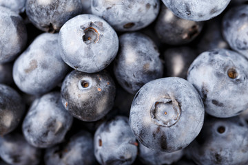blueberries closeup as background