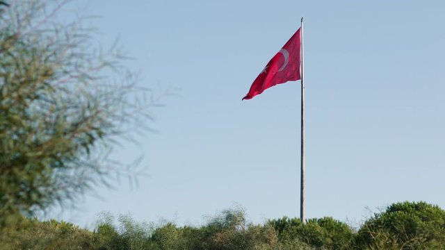 Turkish flag on a high flagpole near green plants on a sunny day
