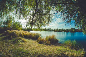 пруд,речка,река,небо,озеро,дерево 