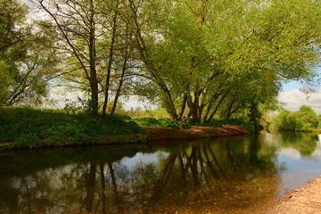 Fototapeta na wymiar A lake covered by trees in the British countryside