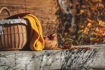 Autumn picnic in the countryside. Picnic basket with thermoses and cinnamon buns served on an old...