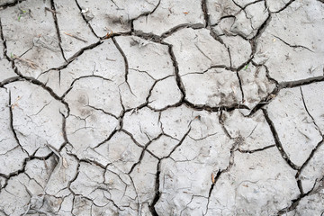 Gray land cracked during drought with a small amount of dry grass