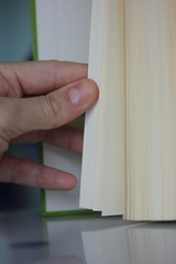 Flip book pages