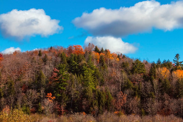 autumn in the mountains