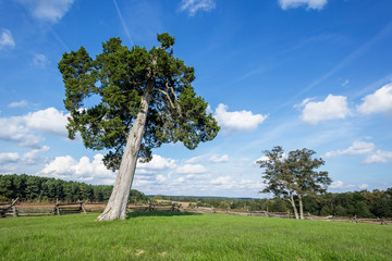 マナサス、バトルフィールド