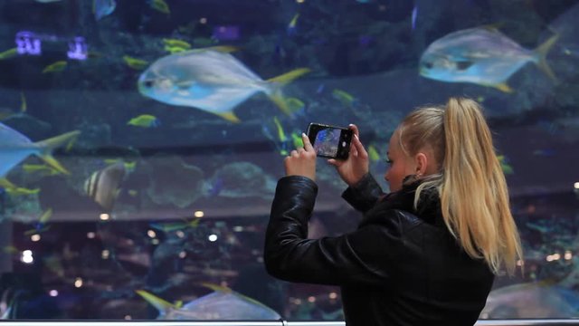 Woman photographs exotic fish in a large aquarium on a smartphone