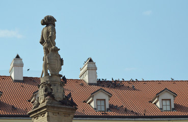 Obraz premium Bratislava Roof Tops Historic Sculpture