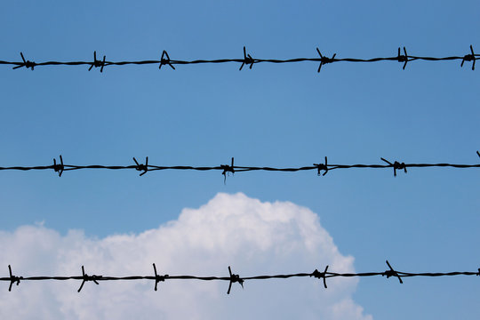 Barbed wire fence in front of the blue sky 