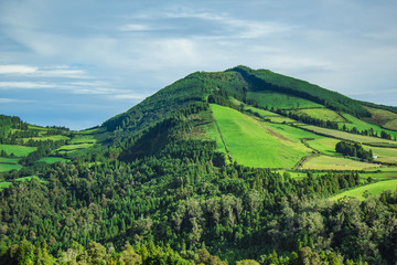 Obraz premium beautiful green wild landscape on the island of Sao Miguel, Azores, Portugal