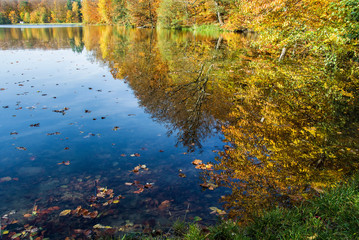 jezioro i las, piękny jesienny krajobraz, barwnie 