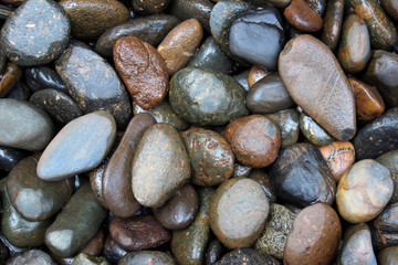 Fototapeta na wymiar Dark brown and gray sea pebbles as a background