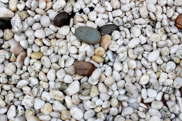 White sea pebbles as a background