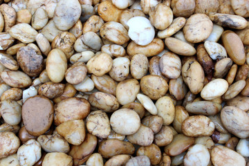 Fototapeta na wymiar Brown sea pebbles as a background