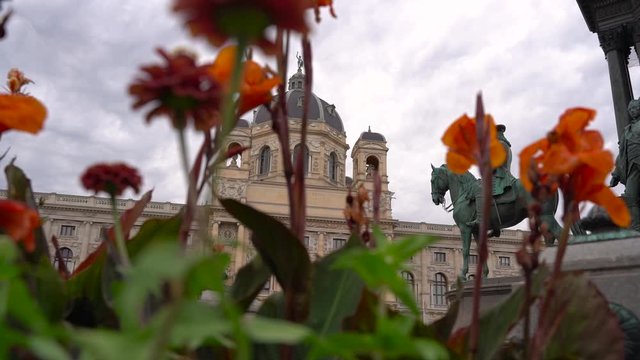Left moving slider through flowers with backdrop of Natural History Museum in Vienna