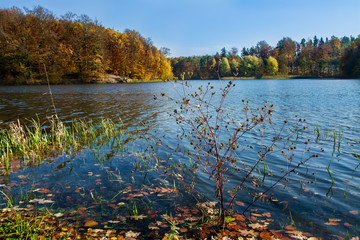 jezioro i las, piękny jesienny krajobraz, barwnie 
